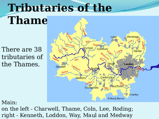Tributaries of the Thames There are 38 tributaries of the Thames. Main: on the left - Charwell, Thame, Coln, Lee, Roding; right - Kenneth, Loddon, Way, Maul and Medway 