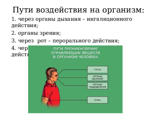 Пути воздействия на организм: 1. через органы дыхания – ингаляционного действия; 2. органы зрения; 3. через рот – перорального действия; 4. через кожу – кожно-резорбтивного действия. 
