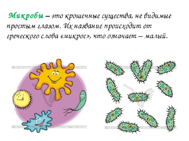 Короче бактерии. Микробы для дошкольников. Бактерии и вирусы для дошколят. Детям о микробах и бактериях малышам. Рассказ о бактериях для детей.