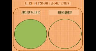 Шеңбер дөңгелек 5 сынып презентация