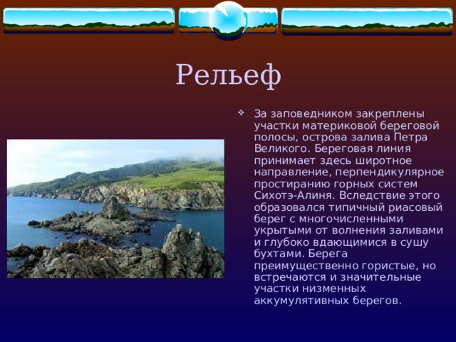 Презентация "Дальневосточный морской заповедник"