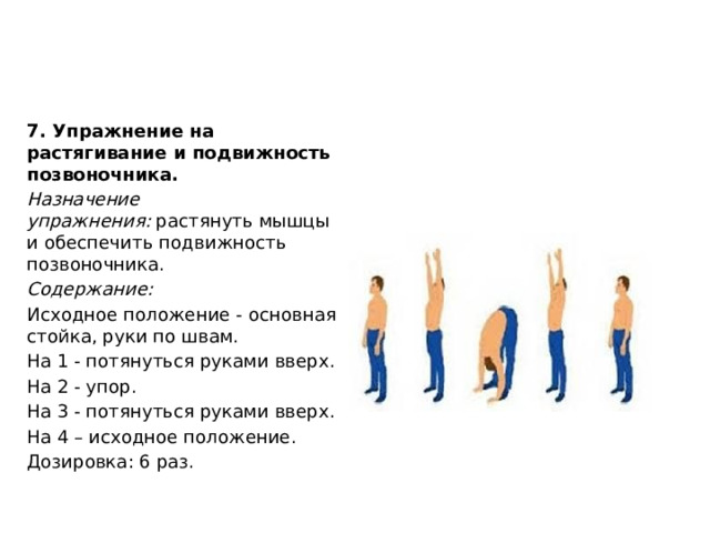 7. Упражнение на растягивание и подвижность позвоночника. Назначение упражнения:  растянуть мышцы и обеспечить подвижность позвоночника. Содержание: Исходное положение - основная стойка, руки по швам. На 1 - потянуться руками вверх. На 2 - упор. На 3 - потянуться руками вверх. На 4 – исходное положение. Дозировка: 6 раз. 