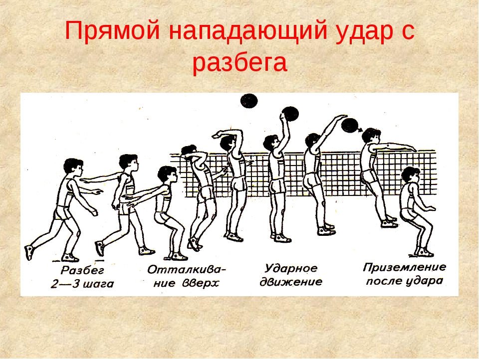 Технологическая карта урока по физкультуре 4 класс волейбол