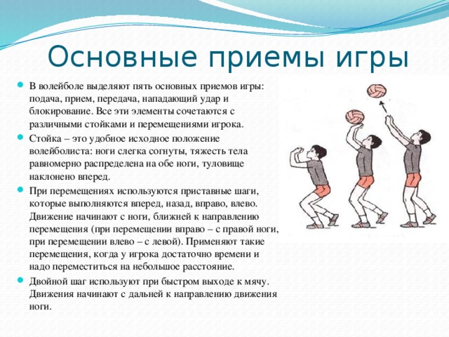 Овладение спортивной техникой волейбола в процессе обучения осуществляется по следующей схеме