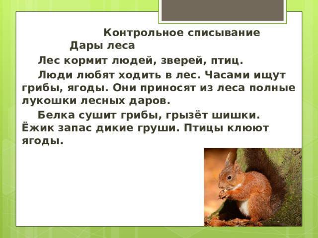  Контрольное списывание      Дары леса  Лес кормит людей, зверей, птиц.   Люди любят ходить в лес. Часами ищут грибы, ягоды. Они приносят из леса полные лукошки лесных даров.   Белка сушит грибы, грызёт шишки. Ёжик запас дикие груши. Птицы клюют ягоды. 