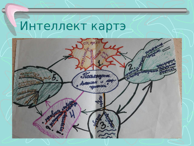 Интеллект картэ 