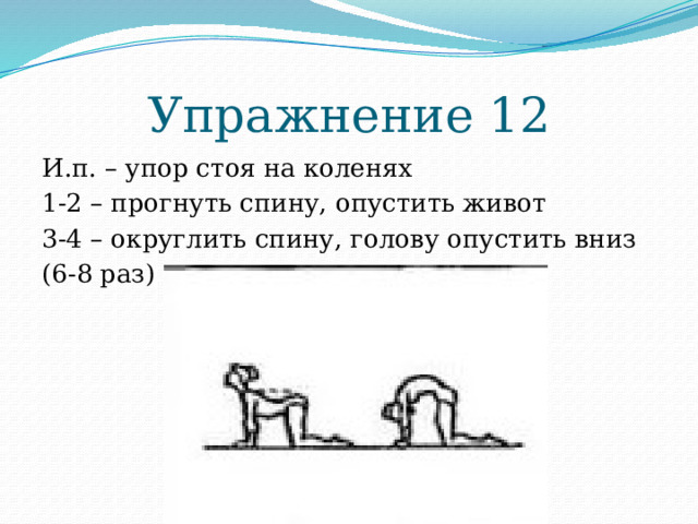 Упражнение 12 И.п. – упор стоя на коленях 1-2 – прогнуть спину, опустить живот 3-4 – округлить спину, голову опустить вниз (6-8 раз) 