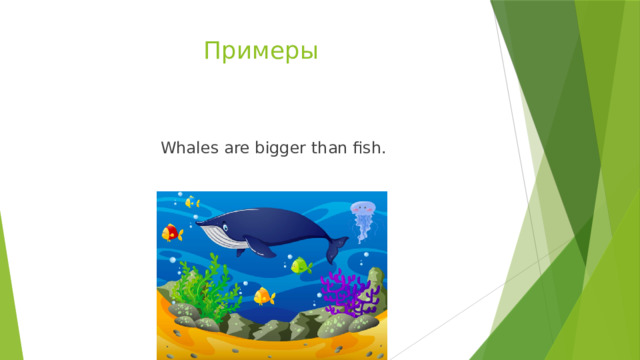 Примеры      Whales are bigger than fish. 