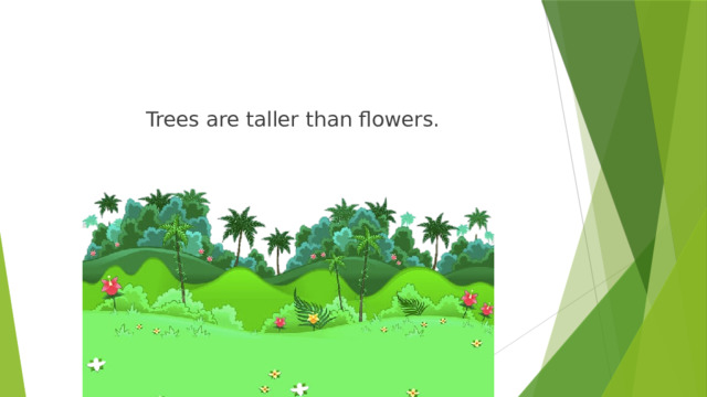       Trees are taller than flowers. 