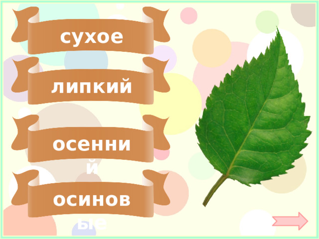 сухое липкий осенний осиновые 