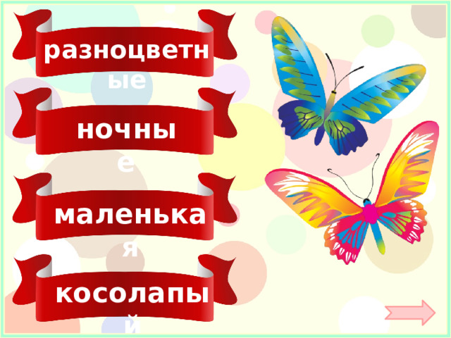 разноцветные ночные маленькая косолапый 