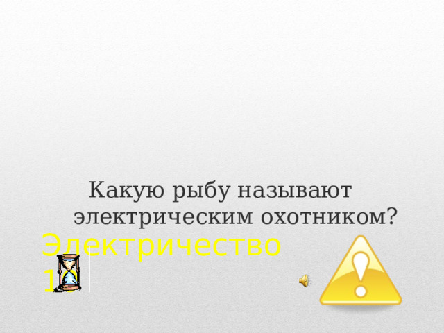 Какую рыбу называют электрическим охотником? Электричество  10 2 