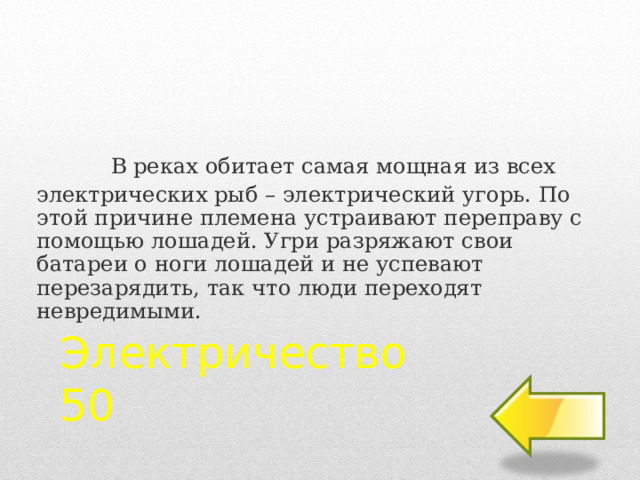   В реках обитает самая мощная из всех электрических рыб – электрический угорь. По этой причине племена устраивают переправу с помощью лошадей. Угри разряжают свои батареи о ноги лошадей и не успевают перезарядить, так что люди переходят невредимыми. Электричество  50 2 