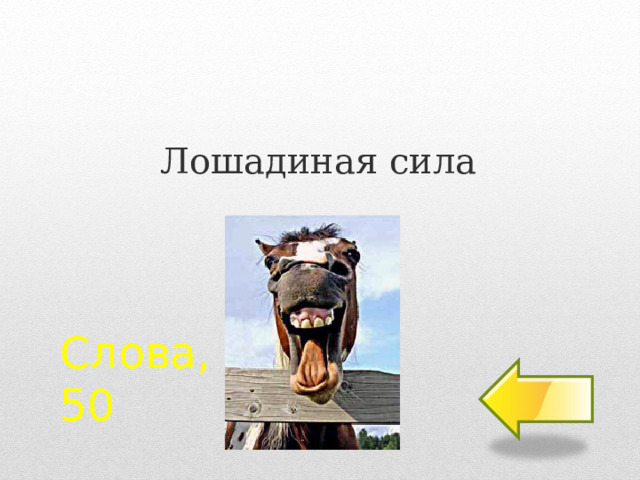 Лошадиная сила Слова, слова…  50 2 