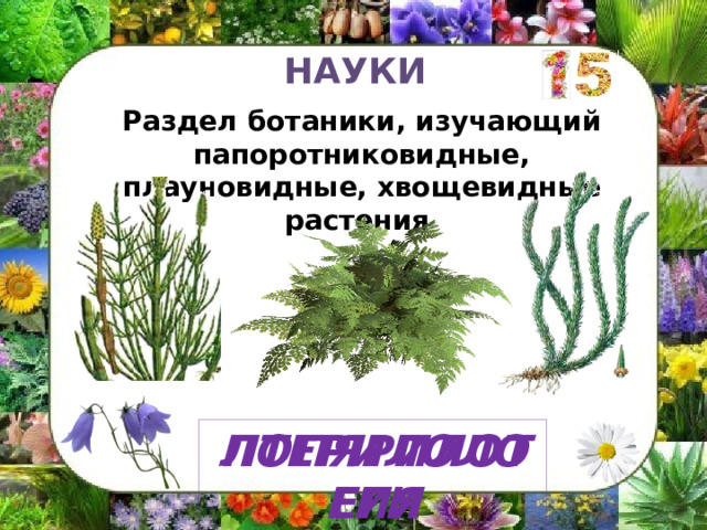 НАУКИ Раздел ботаники, изучающий папоротниковидные, плауновидные, хвощевидные растения  ПТЕРИЛОЛОГИЯ ЛОПЯРИЛОТЕГИ 