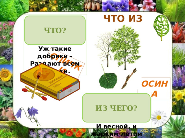 СПИЧКИ ЧТО ИЗ ЧЕГО В деревянном домике Проживают гномики. Уж такие добряки - Раздают всем огоньки. ЧТО? ОСИНА Хоть неплохо я одета,  Бьет озноб меня всегда.  И весной, и жарким летам  Вся дрожу, как в холода. ИЗ ЧЕГО? 