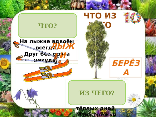 ЧТО ИЗ ЧЕГО Деревянные гонцы,  Словно братья-близнецы!  На лыжне вдвоём всегда,  Друг без друга никуда!  ЧТО? ЛЫЖИ БЕРЁЗА Не заботясь о погоде, В сарафане белом ходит, А в один из тёплых дней Май серёжки дарит ей. ИЗ ЧЕГО? 