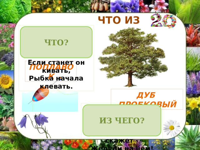 ЧТО ИЗ ЧЕГО На рыбалку его взял,  Крепко  к леске привязал.  Если станет он кивать,  Рыбка начала клевать. ЧТО? ПОПЛАВОК ДУБ ПРОБКОВЫЙ Не загадка это даже,  Сразу назовём,  Если только кто-то скажет -  Желуди на нём! ИЗ ЧЕГО? 