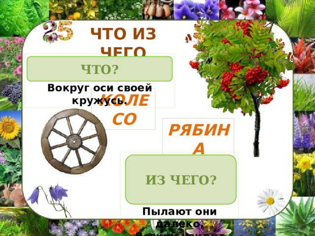ЧТО ИЗ ЧЕГО Меня спросили: 