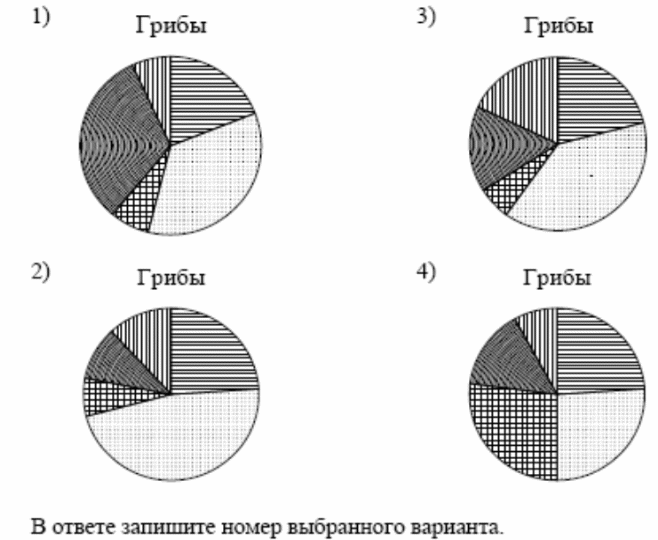 На круговой диаграмме показано распределение международного туризма