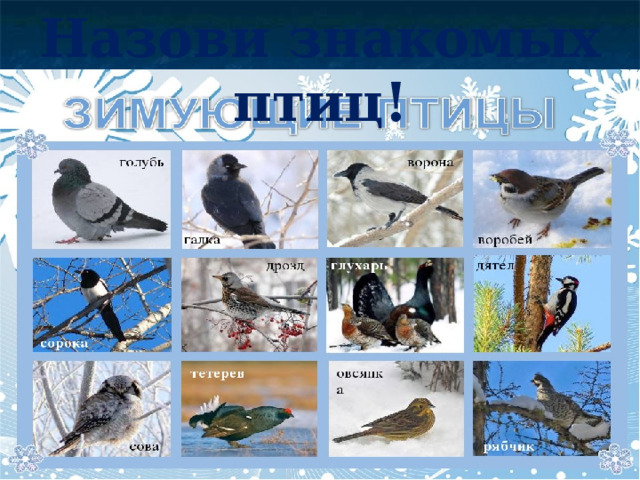 Назови знакомых птиц! 