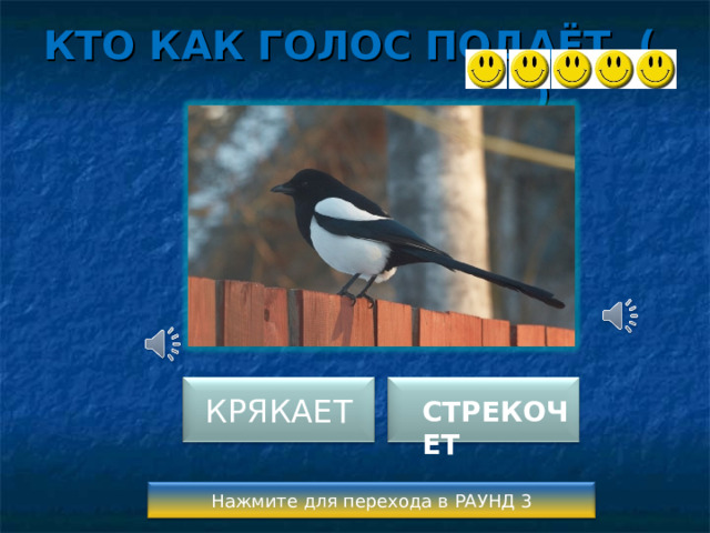 КТО КАК ГОЛОС ПОДАЁТ ( )  СТРЕКОЧЕТ КРЯКАЕТ Нажмите для перехода в РАУНД 3 