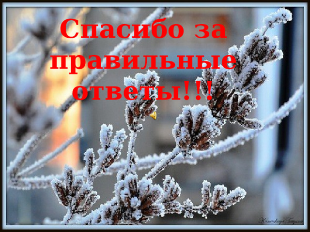 Спасибо за правильные ответы!!! 
