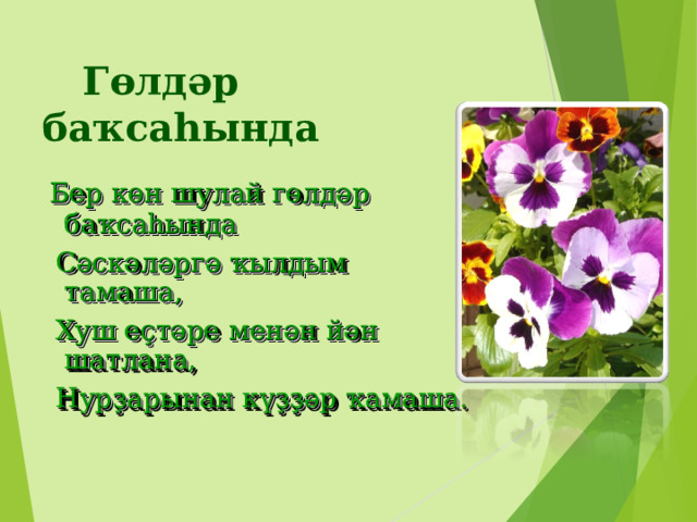  Гөлдәр баҡсаһында  Бер көн шулай гөлдәр баҡсаһында  Сәскәләргә ҡылдым тамаша,  Хуш еҫтәре менән йән шатлана,  Нурҙарынан күҙҙәр ҡамаша. 