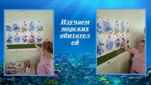 Изучаем морских обитателей 