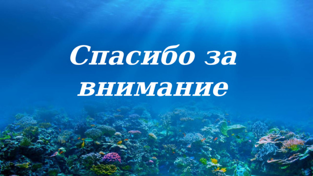 Спасибо за внимание 