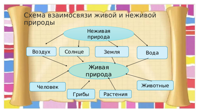 Схема живая