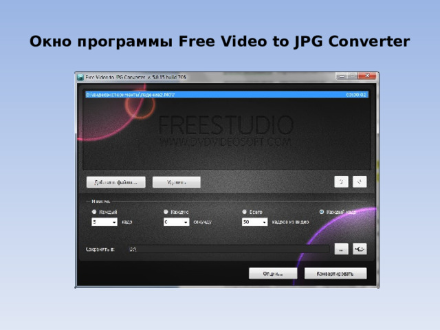Окно программы Free Video to JPG Converter 