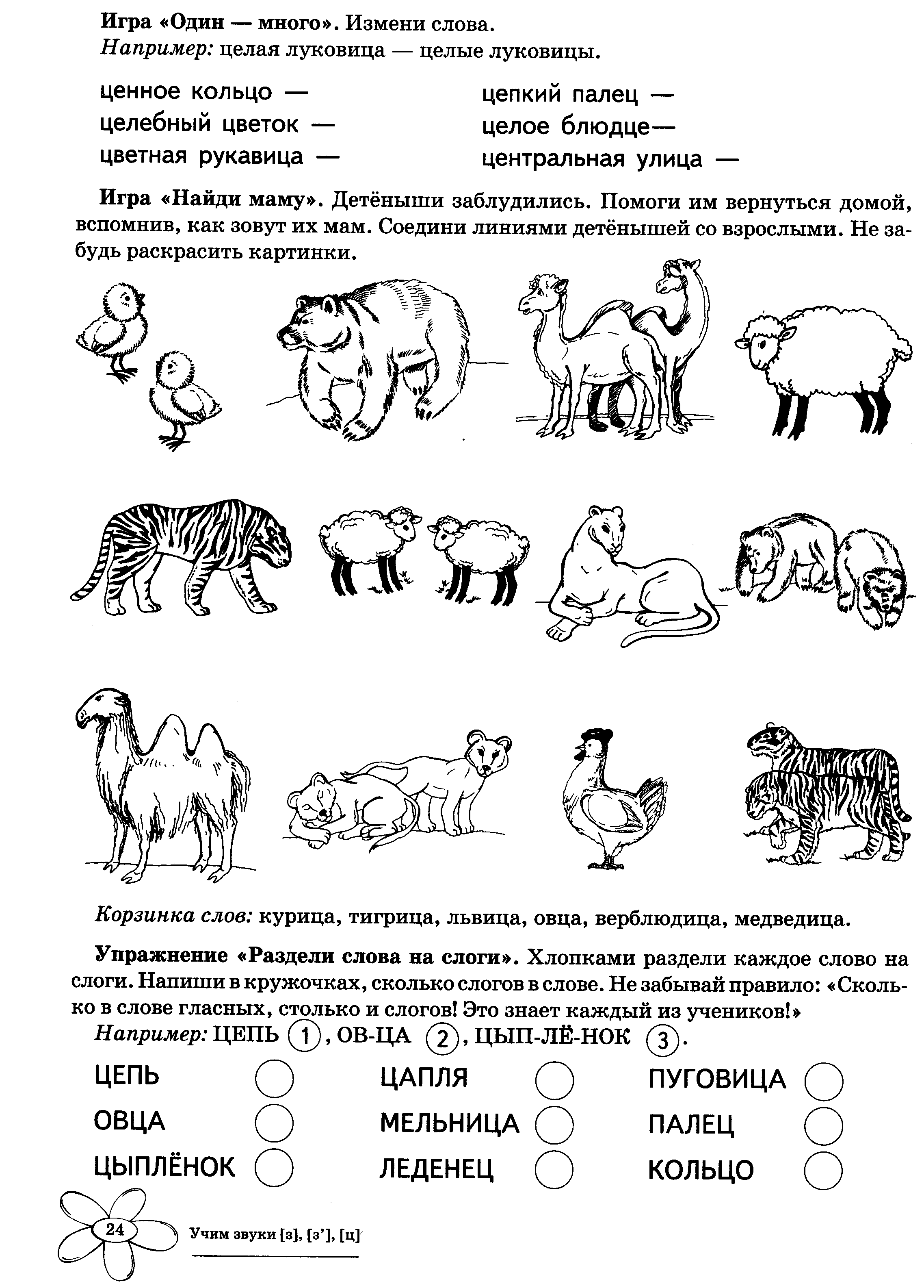 Задания на звук ц для дошкольников в картинках