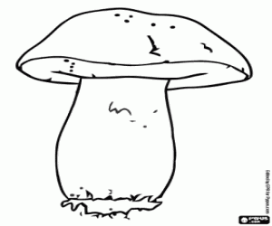 Желчный гриб рисунок карандашом