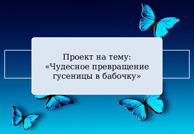 Проект на тему: «Чудесное превращение гусеницы в бабочку» 