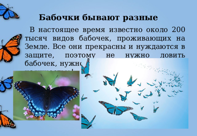 Бабочки бывают разные  В настоящее время известно около 200 тысяч видов бабочек, проживающих на Земле. Все они прекрасны и нуждаются в защите, поэтому не нужно ловить бабочек, нужно любоваться их красотой и изящностью! 