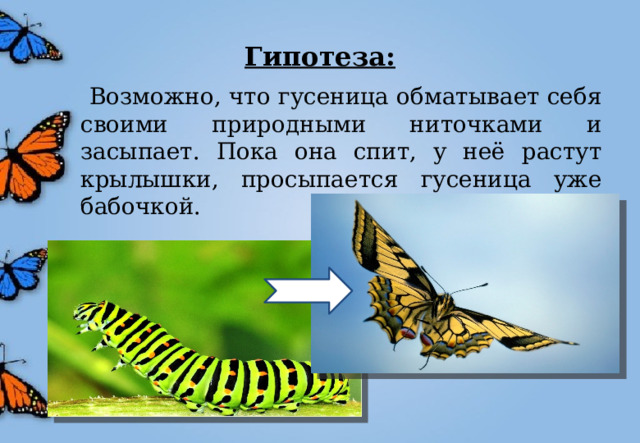 Процесс превращения гусеницы в бабочку называется как