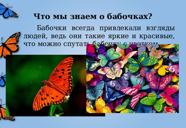 Что мы знаем о бабочках?  Бабочки всегда привлекали взгляды людей, ведь они такие яркие и красивые, что можно спутать бабочку с цветком. 