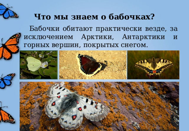 В какой среде обитает бабочка