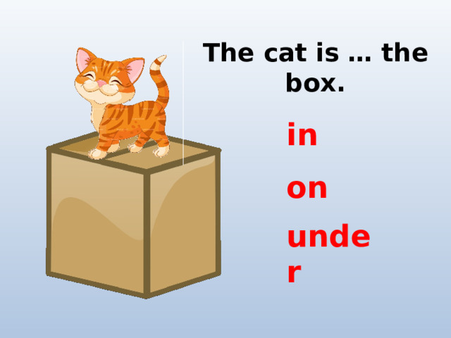 The cat is … the box. in on under 