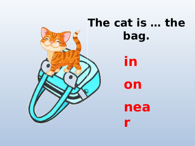 The cat is … the bag. in on near 