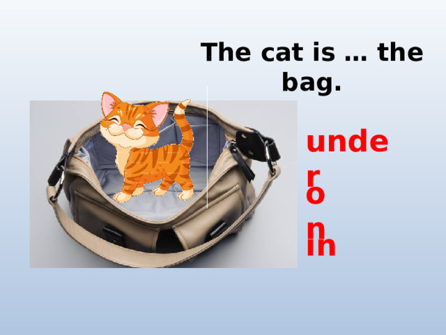 The cat is … the bag. under on in 