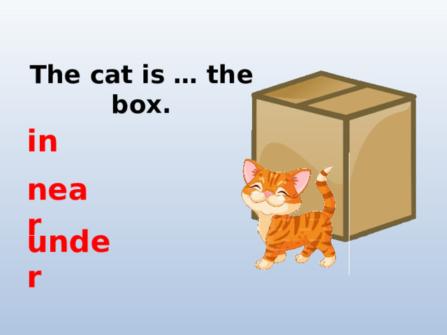 The cat is … the box. in near under 
