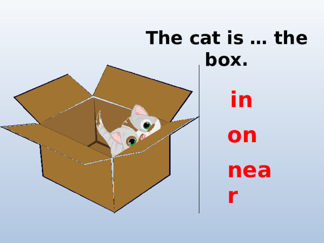 The cat is … the box. in on near 