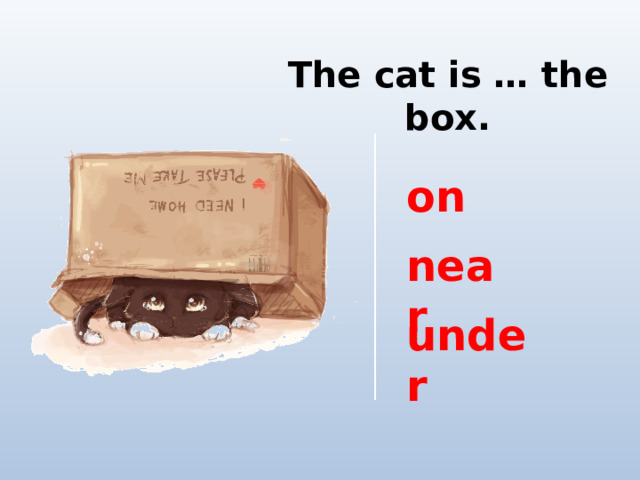 The cat is … the box. on near under 