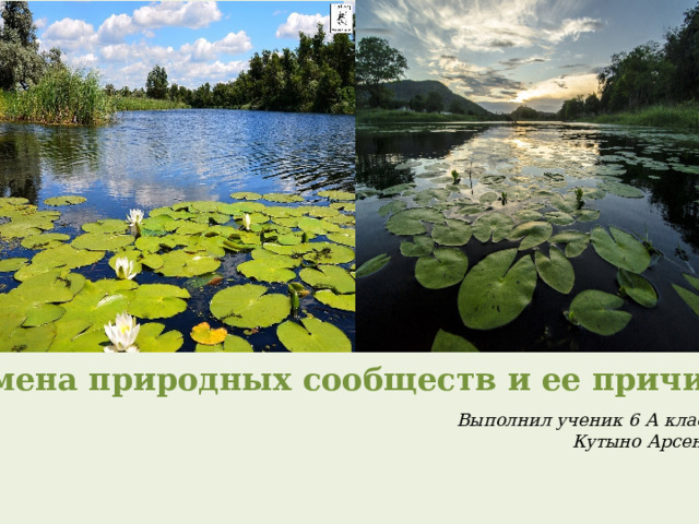 Изменение природного сообщества. Природные сообщества Ульяновской области 6 класс. Причины смены природных сообществ 6 класс видео урок.