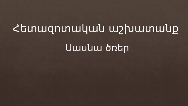 Հետազոտական աշխատանք Սասնա ծռեր 