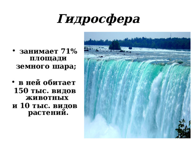 Гидросфера  занимает 71% площади  земного шара;  в ней обитает 150 тыс. видов животных и 10 тыс. видов растений. 