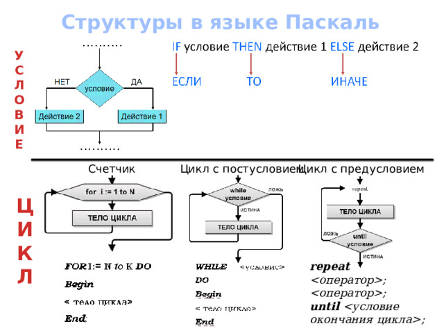Структуры в языке Паскаль У С Л О В И Е  Цикл с предусловием Счетчик Цикл с постусловием Ц И К Л repeat  ; ; until ; 