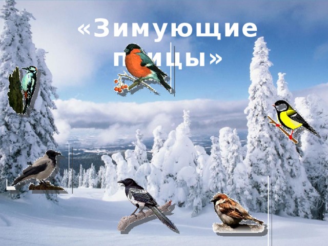 «Зимующие птицы» 